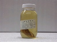 藏品(柴魚)的圖片